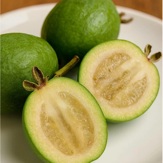 Air-layered Pineapple Guava Tree