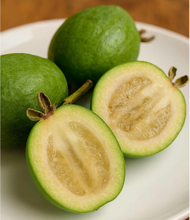 Air-layered Pineapple Guava Tree