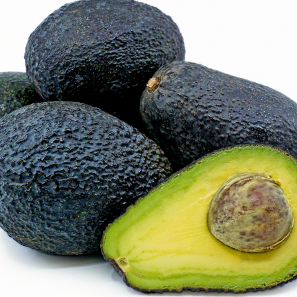 Grafted Lamb Hass Avocado Tree