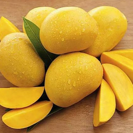 Grafted Sein Ta Lone (Guava) Mango Tree