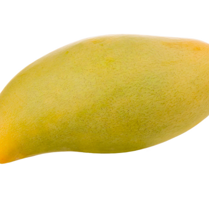 Grafted Raw Honey Mango Tree