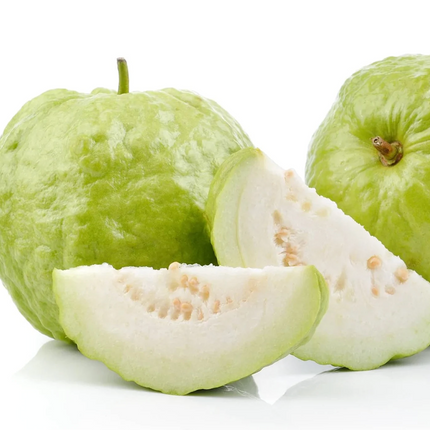 Air-layered Thai White Guava Tree