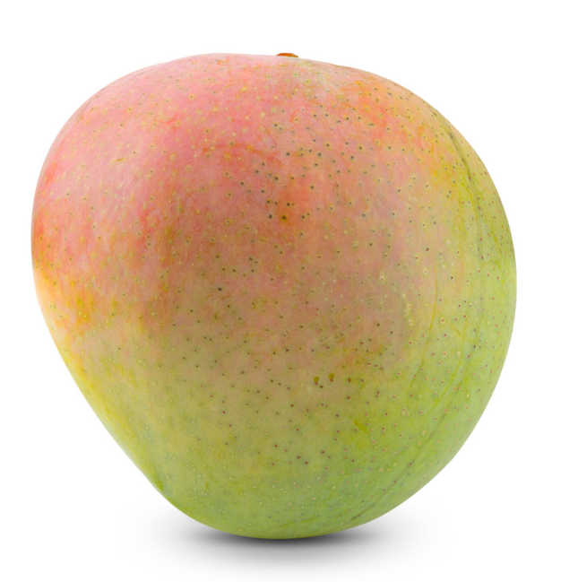 Grafted Bombay/Pariri Mango Tree
