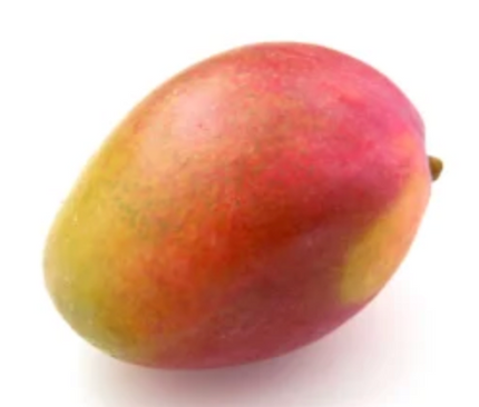 Grafted Giselle Mango Tree