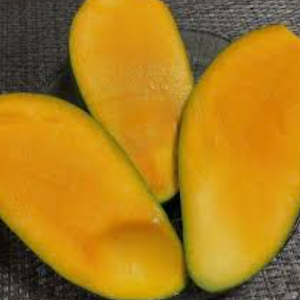 Grafted Pim Seng Mun Mango Tree