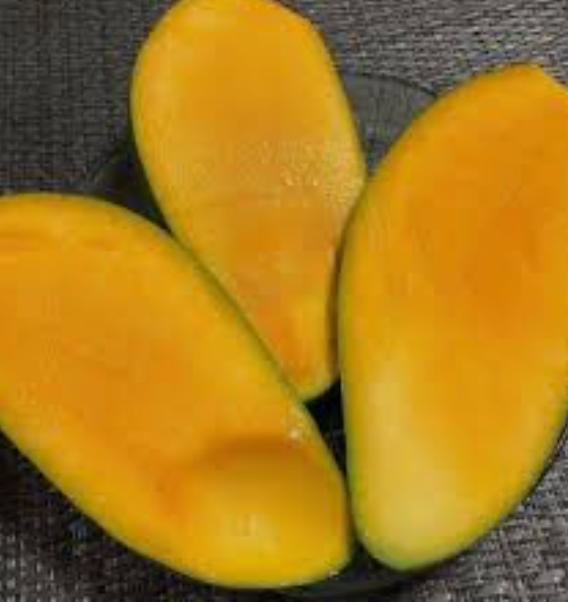 Grafted Pim Seng Mun Mango Tree