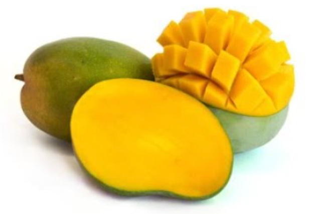 Grafted M4 Mango Tree