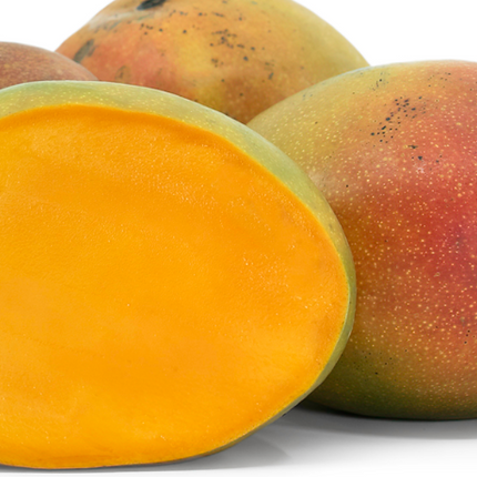 Grafted Kent Mango Tree
