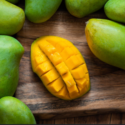 Grafted Keitt Mango Tree