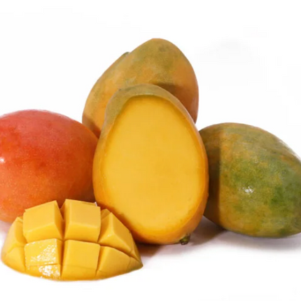 Grafted Edward Mango Tree