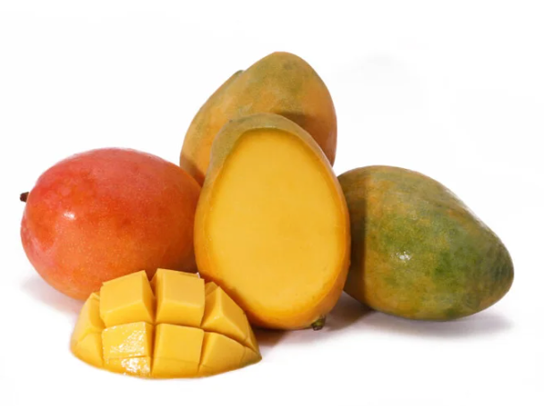 Grafted Edward Mango Tree