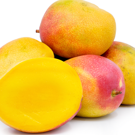 Grafted Haden Mango Tree