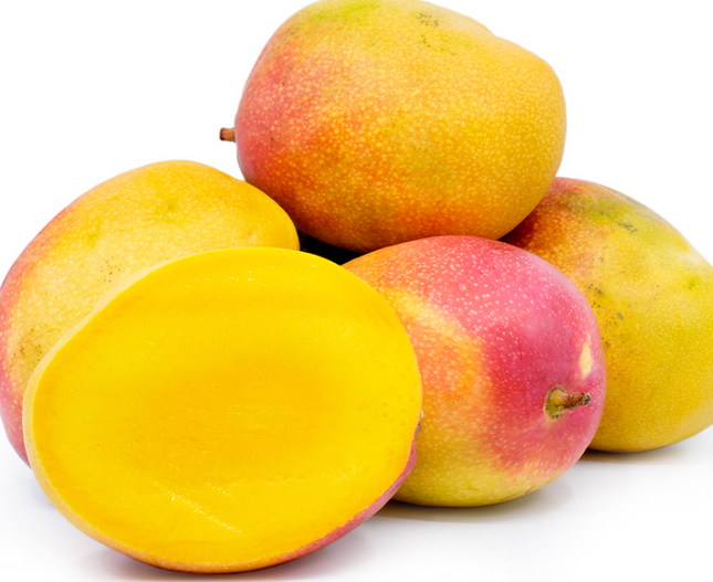 Grafted Haden Mango Tree