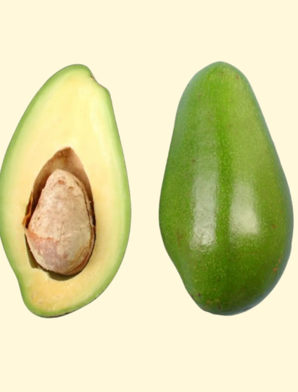 Doni Avocado Grafted Fruit Tree