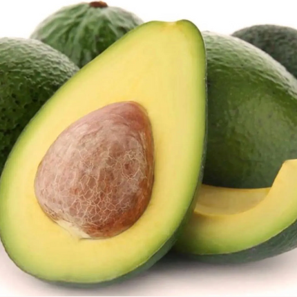 Grafted Catalina Avocado Tree