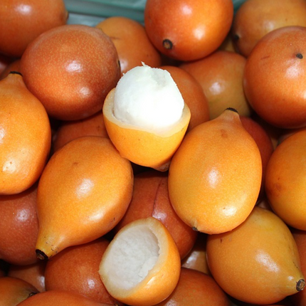 Air-layered Achacha Fruit Tree
