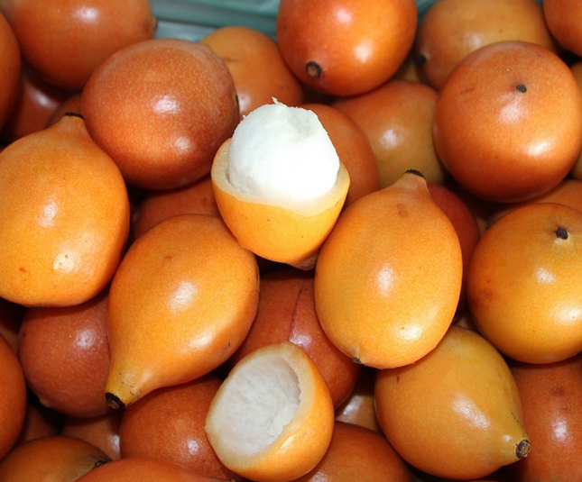 Air-layered Achacha Fruit Tree