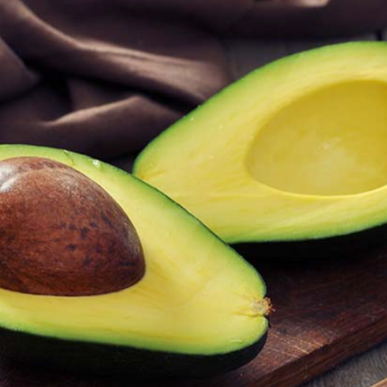 Grafted Mexicola Avocado Tree