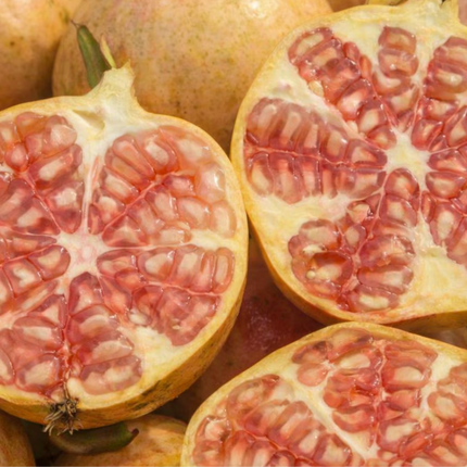 Air-layered Azadi Pomegranate Tree