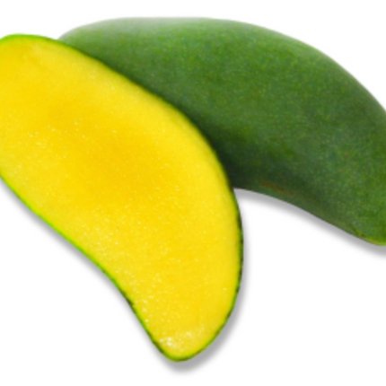 Grafted Keo Savoy Mango Tree