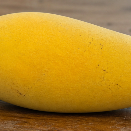 Grafted Sai Tong Mango Tree (Golden Nam Doc Mai Mango)