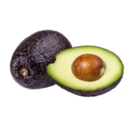Grafted Maria Black Avocado Tree