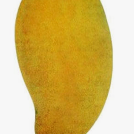 Grafted Okrung Mango Tree