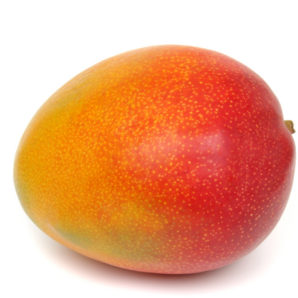 Grafted Sunrise Mango Tree