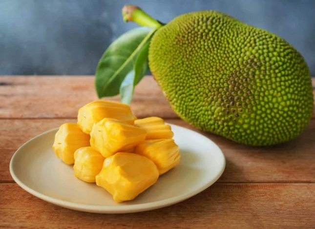 Grafted Honey Gold Jackfruit Tree