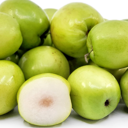 Thai Jujube Tree