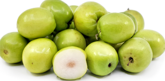 Thai Jujube Tree
